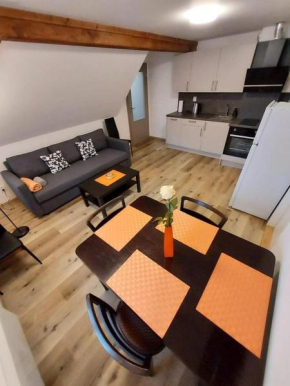 Apartmány Rudník Bolkov, Rudník